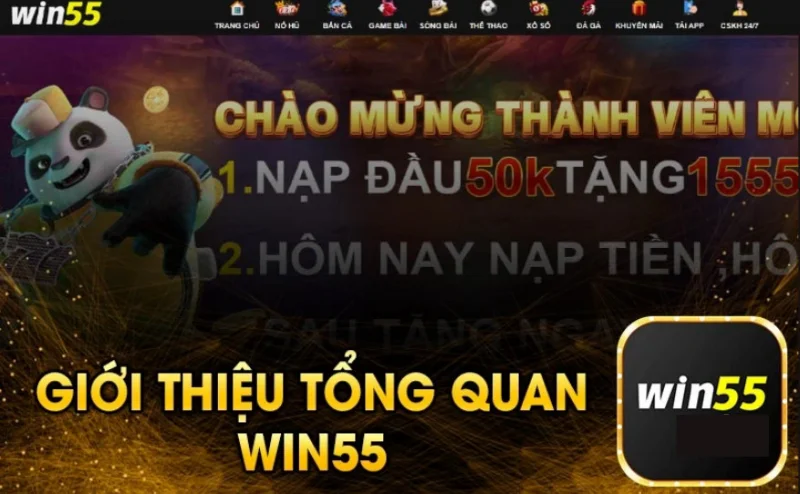 Anh em nên chọn nhà cái WIN55 khi chơi kèo chấp nửa trái